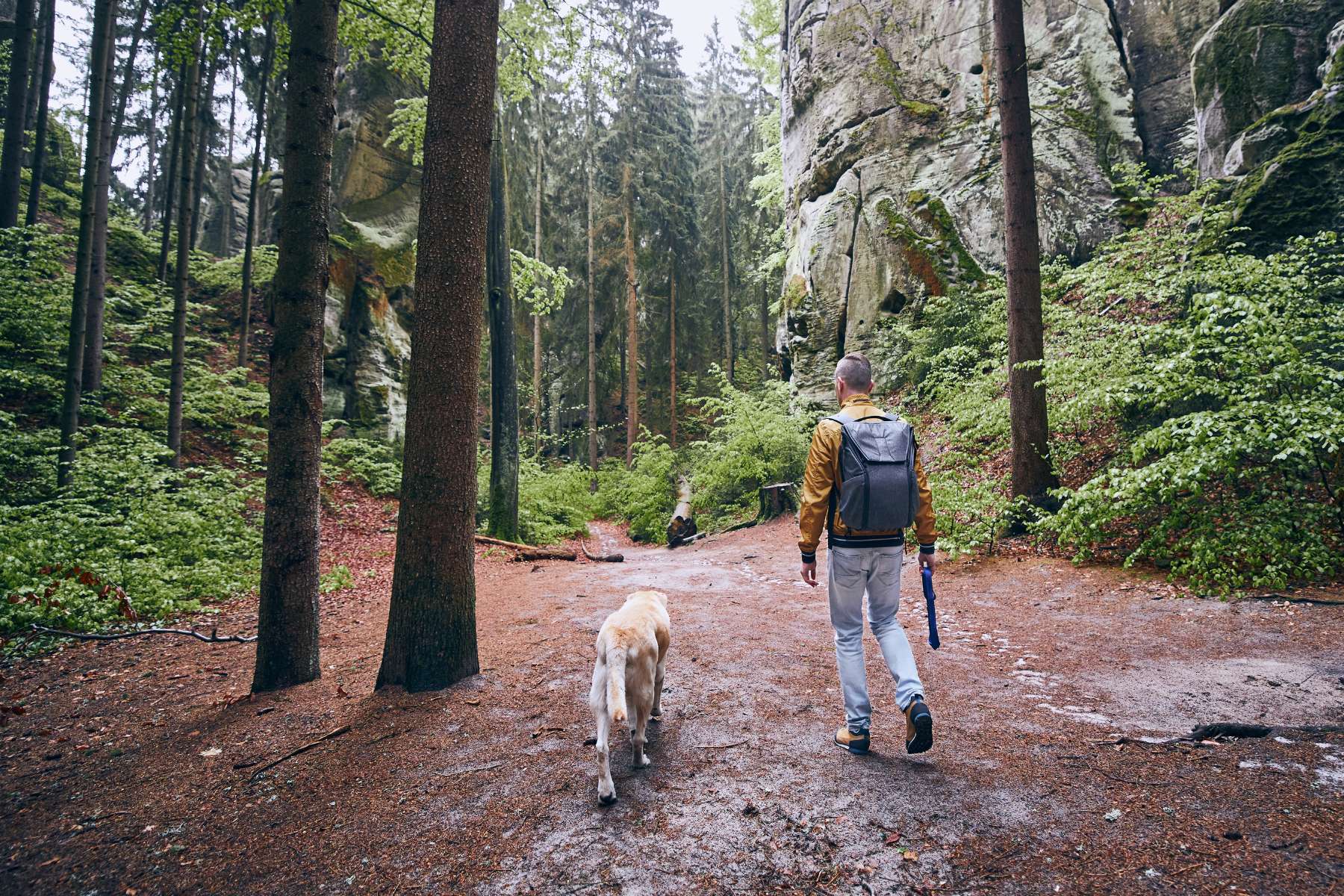 From Couch Potato to Trail Blazer: Finding an Active Companion