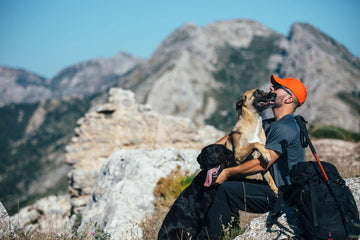 Trail Tails: Integrating Outdoor Adventures with Your Shelter Dog