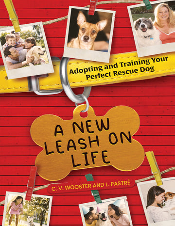 New Leash on Life: Finding Your Perfect Shelter Dog